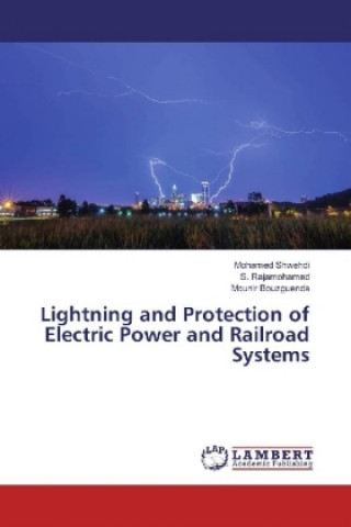 Kniha Lightning and Protection of Electric Power and Railroad Systems Mohamed Shwehdi