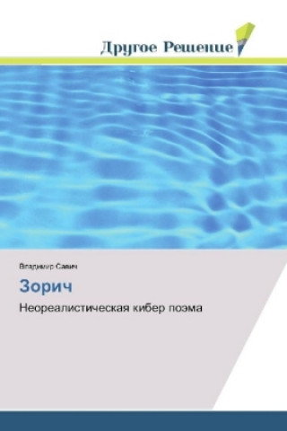 Buch Zorich Vladimir Sawich