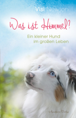 Книга Was ist Himmel? Visi Newton