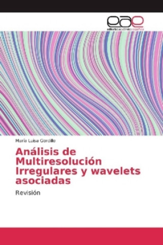 Kniha Análisis de Multiresolución Irregulares y wavelets asociadas María Luisa Gordillo