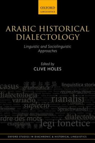 Kniha Arabic Historical Dialectology Clive Holes