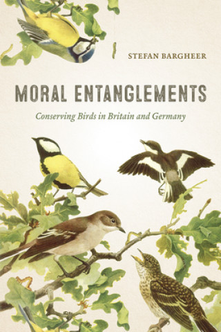 Книга Moral Entanglements Stefan Bargheer