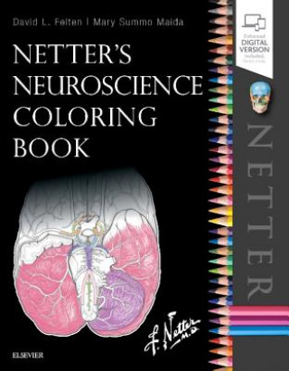 Książka Netter's Neuroscience Coloring Book David L. Felten