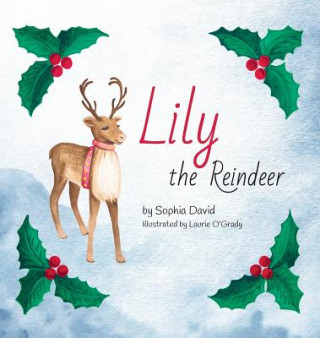 Kniha Lily the Reindeer SOPHIA DAVID