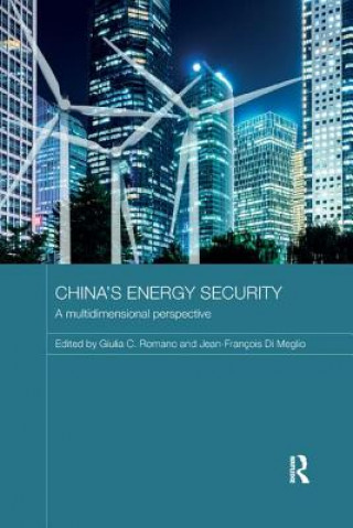 Knjiga China's Energy Security 