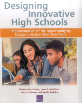 Knjiga Designing Innovative High Schools Elizabeth D Steiner