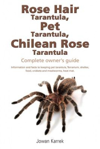 Book Rose Hair Tarantula, Pet Tarantula, Chilean Rose Tarantula Jowan Karrek