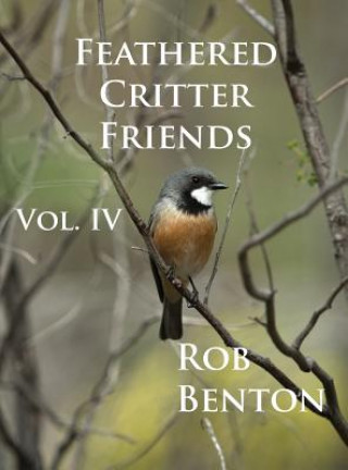 Kniha Feathered Critter Friends Vol. IV ROB BENTON