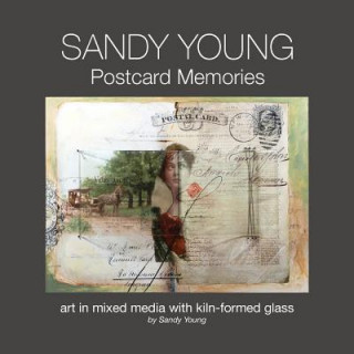 Livro Sandy Young SANDY YOUNG