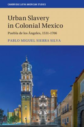 Könyv Urban Slavery in Colonial Mexico Pablo Miguel Sierra Silva