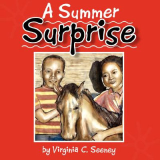 Knjiga Summer Surprise Virginia C Seeney
