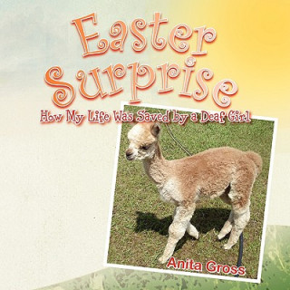 Knjiga Easter Surprise Anita Gross