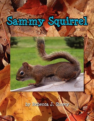 Βιβλίο Sammy Squirrel Rebecca J Storey