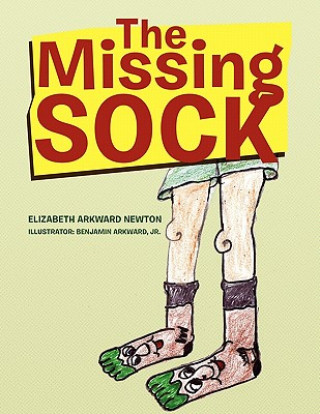 Knjiga Missing Sock Elizabeth Newton