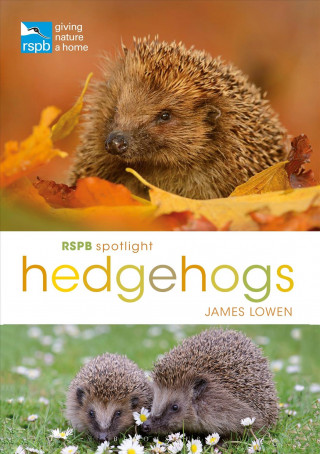Kniha RSPB Spotlight Hedgehogs James Lowen