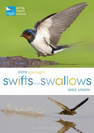 Kniha RSPB Spotlight Swifts and Swallows Mike Unwin