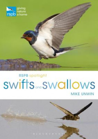 Könyv RSPB Spotlight Swifts and Swallows Mike Unwin