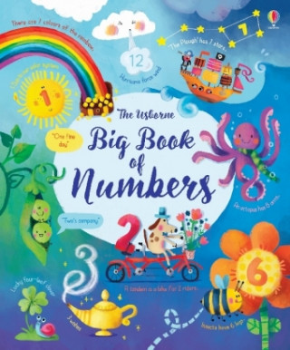 Kniha Big Book of Numbers Felicity Brooks