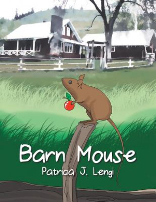 Boek Barn Mouse Patricia J Lengi