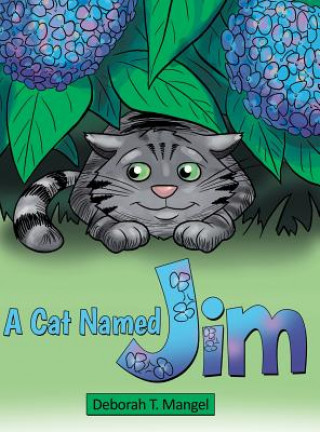 Kniha Cat Named Jim Deborah T Mangel