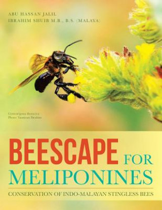 Carte Beescape for Meliponines Abu Hassan Jalil