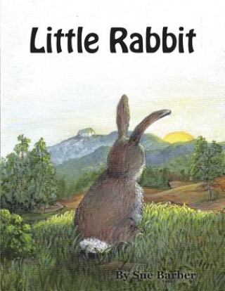 Book Little Rabbit Sue Barber