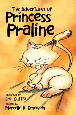 Kniha Adventures of Princess Praline Illustrator Eric Cuffie