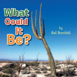 Knjiga What Could It Be? Gail Bornfield