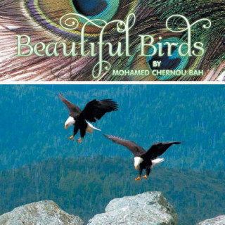 Knjiga Beautiful Birds Mohamed Chernou Bah