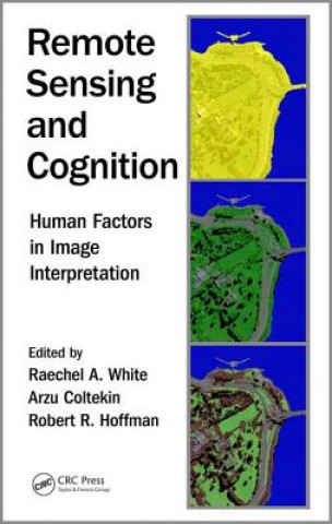 Könyv Remote Sensing and Cognition 