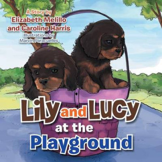 Kniha Lily and Lucy at the Playground Elizabeth Melillo