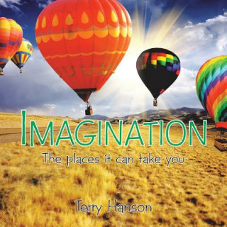 Libro Imagination Terry Hanson