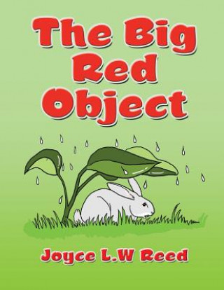 Kniha Big Red Object Joyce L W Reed