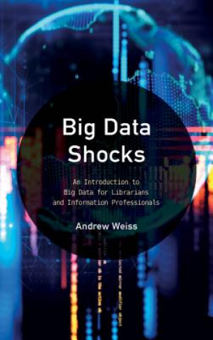 Kniha Big Data Shocks Andrew Weiss