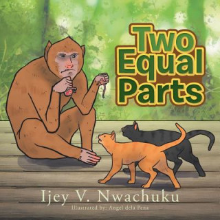 Knjiga Two Equal Parts Ijey V Nwachuku