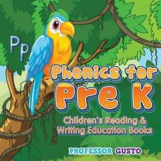 Buch Phonics for Pre K Professor Gusto
