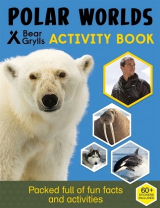 Könyv Bear Grylls Survival Skills: Polar Bear Grylls