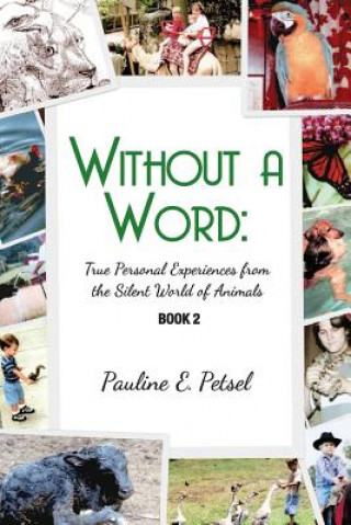 Kniha Without a Word PAULINE E PETSEL