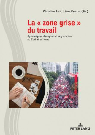 Книга La " Zone Grise " Du Travail Christian Aza?s