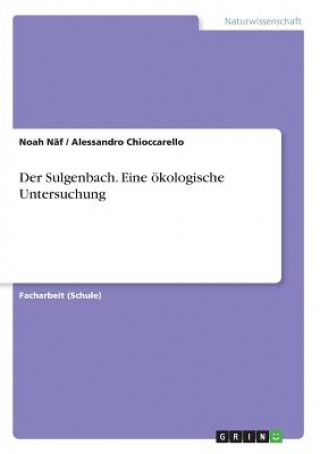Carte Der Sulgenbach. Eine ökologische Untersuchung Noah Näf