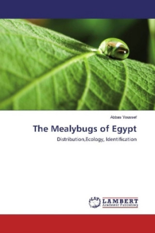 Kniha The Mealybugs of Egypt Abbas Youssef