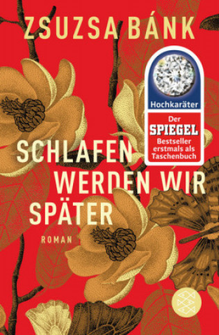 Buch Schlafen werden wir spater Zsuzsa Bánk