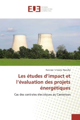 Kniha Les études d'impact et l'évaluation des projets énergétiques Narcisse Tchouba Nyatcha