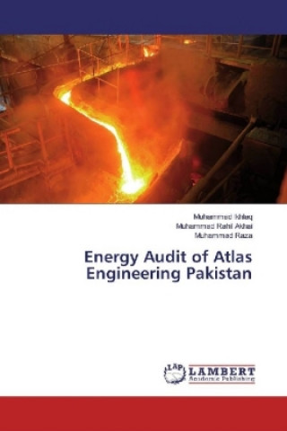 Kniha Energy Audit of Atlas Engineering Pakistan Muhammad Ikhlaq