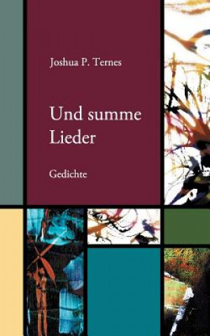 Kniha Und summe Lieder Joshua P. Ternes