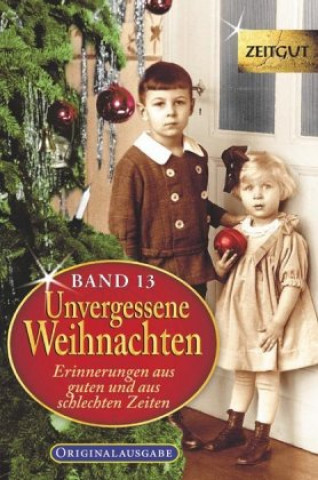 Könyv Unvergessene Weihnachten - Band 13 Jürgen Kleindienst