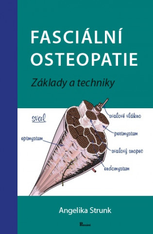 Book Fasciální osteopatie Angelika Stunk