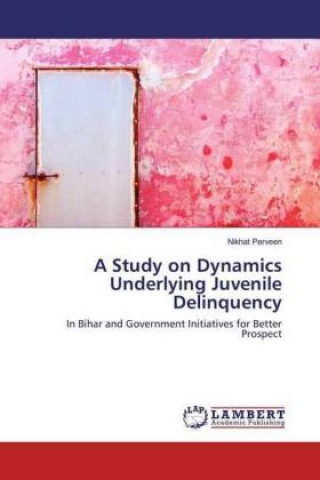 Libro A Study on Dynamics Underlying Juvenile Delinquency Nikhat Perveen