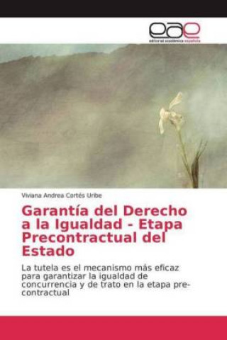 Könyv Garantía del Derecho a la Igualdad - Etapa Precontractual del Estado Viviana Andrea Cortés Uribe