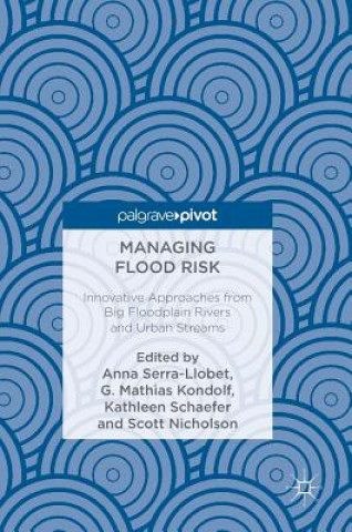 Buch Managing Flood Risk Anna Serra Llobet